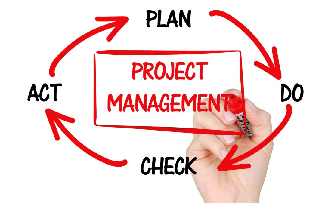 Non-Techie: How to Prepare for an IT Project Manager Role?