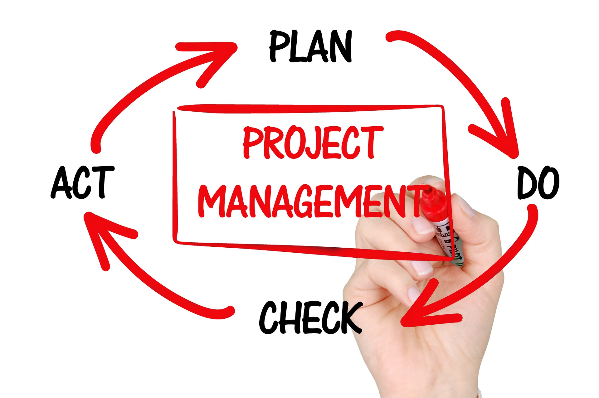 Non-Techie How to Prepare for an IT Project Manager Role